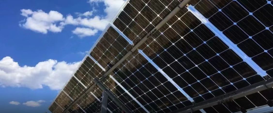 红桃国际嘉盛入选河北省企业标准“领跑者”名单